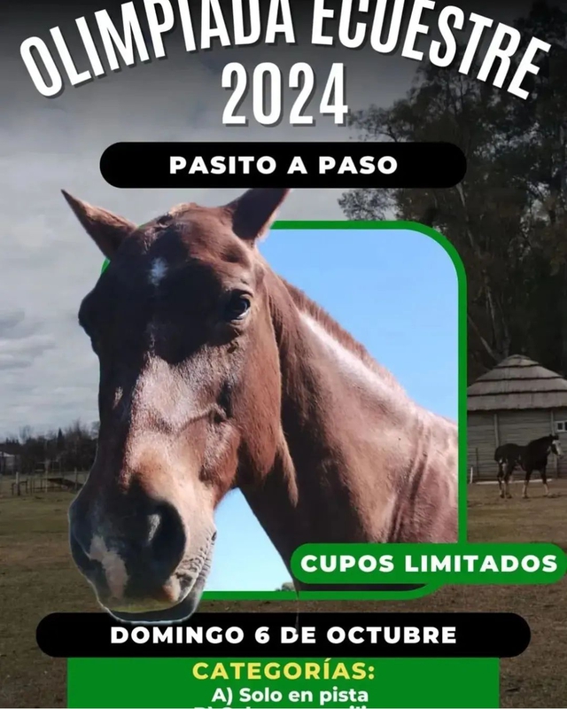 19 Años de las Asociación Civil de Equinoterapia "Pasito a Paso"